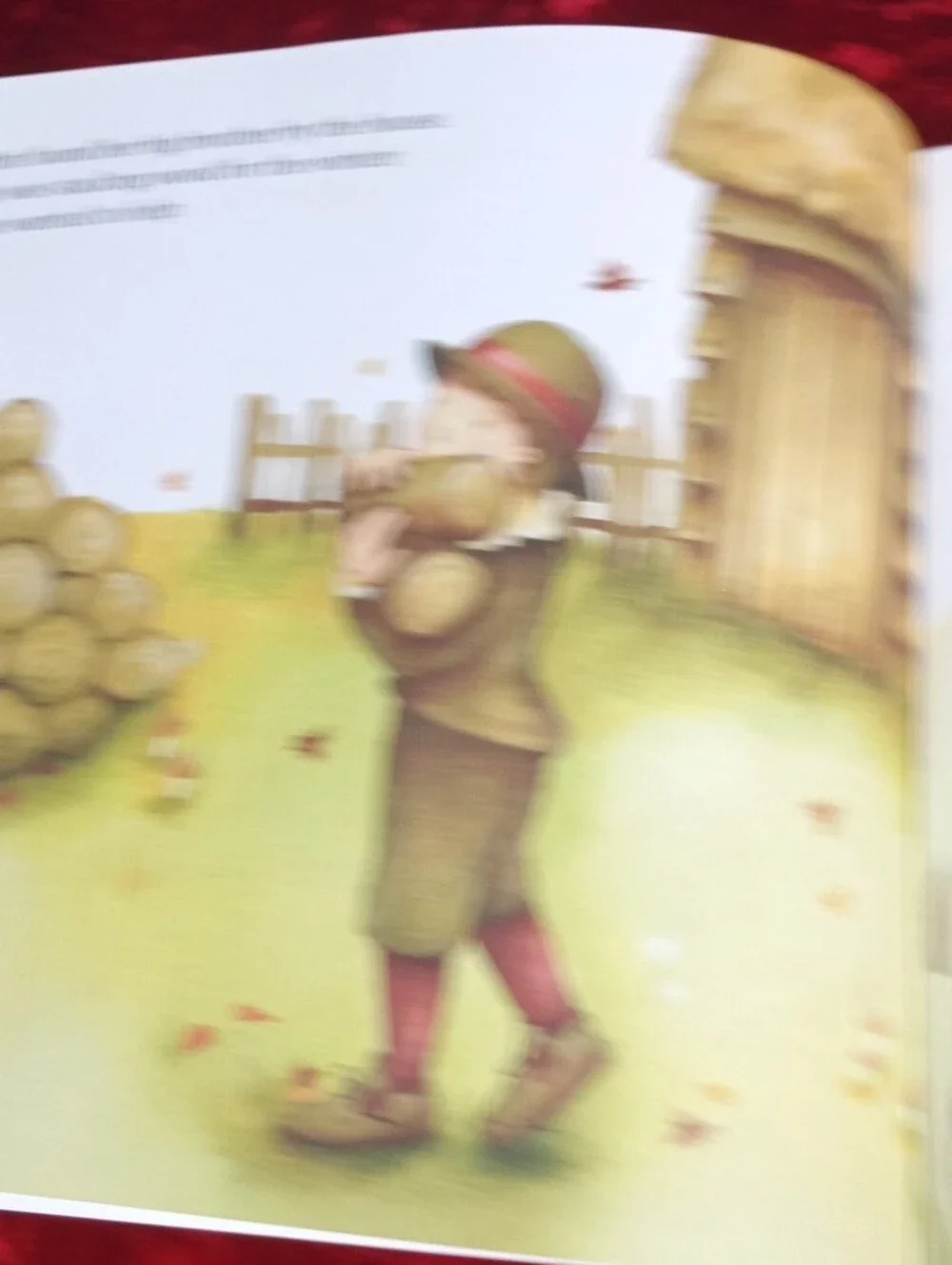 Children's Book 